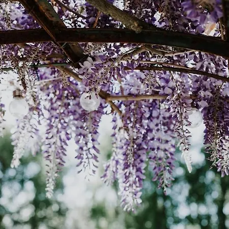 Demeure Du Canteloup