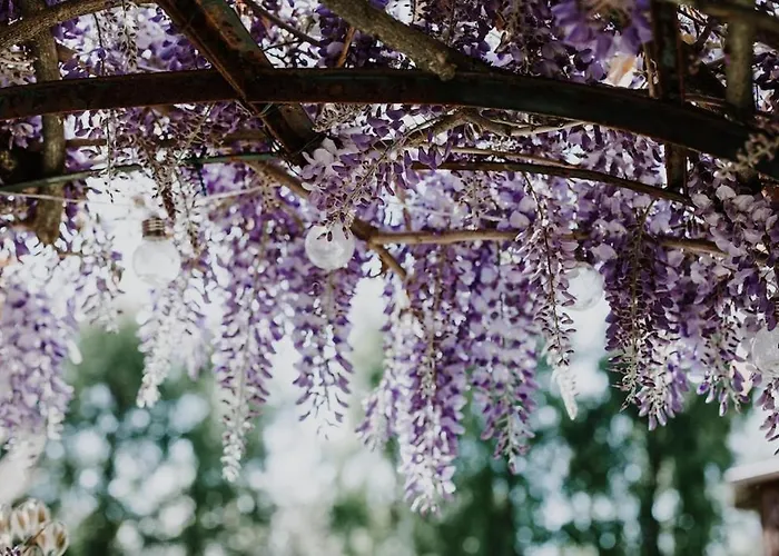 Demeure Du Canteloup