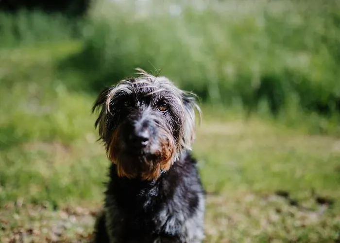 Demeure Du Canteloup 옹플뢰르